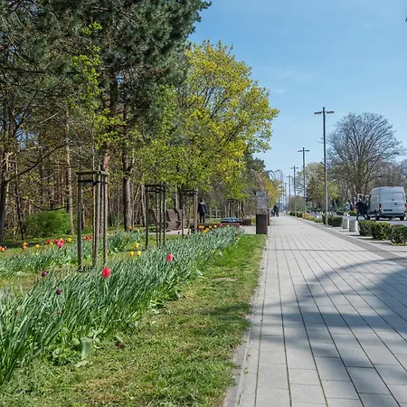 Ms - Zeromskiego 22 Lejlighed *