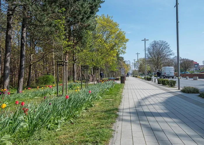 Ms - Zeromskiego 22 아파트 *